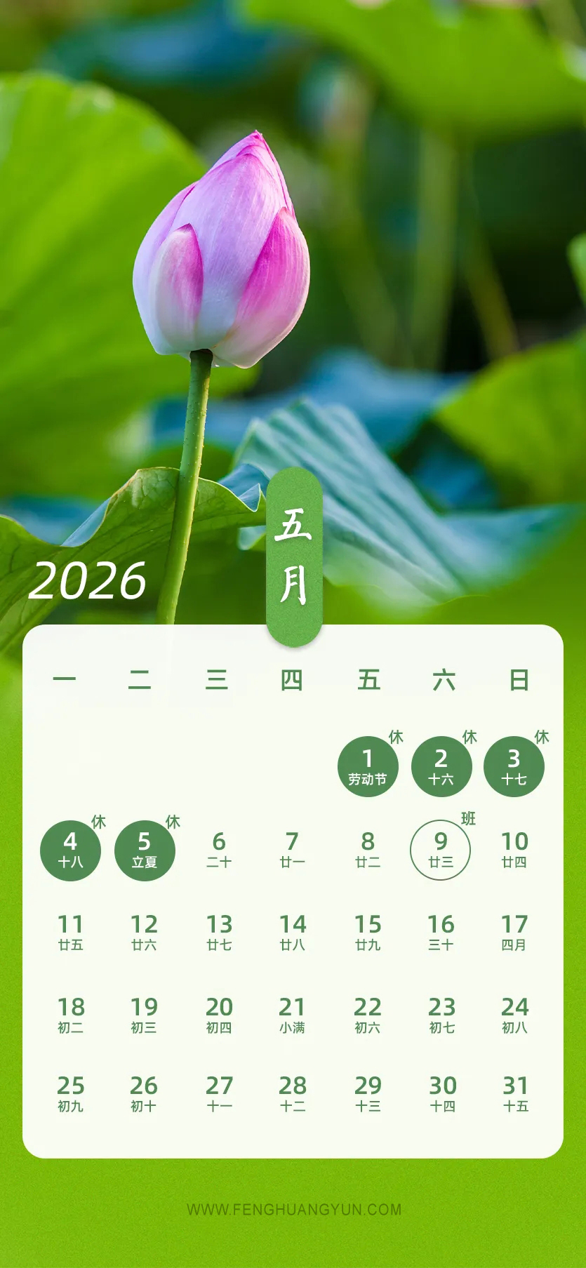 凤凰云2026全新日历发布
